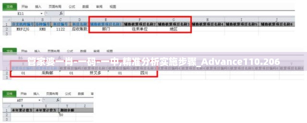 管家婆一肖-一码-一中,精准分析实施步骤_Advance110.206