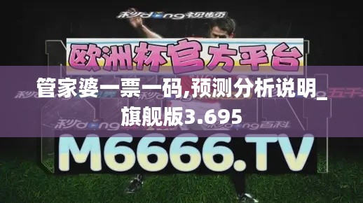 管家婆一票一码,预测分析说明_旗舰版3.695