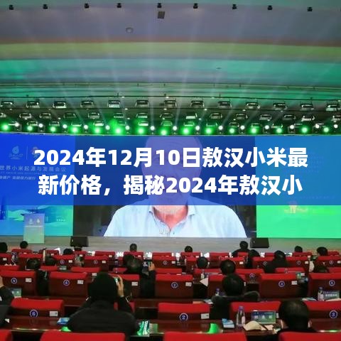 揭秘2024年敖汉小米最新价格动态，市场走势、影响因素与专业解读全解析​​