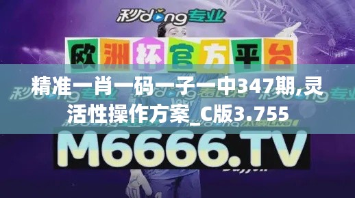 精准一肖一码一子一中347期,灵活性操作方案_C版3.755