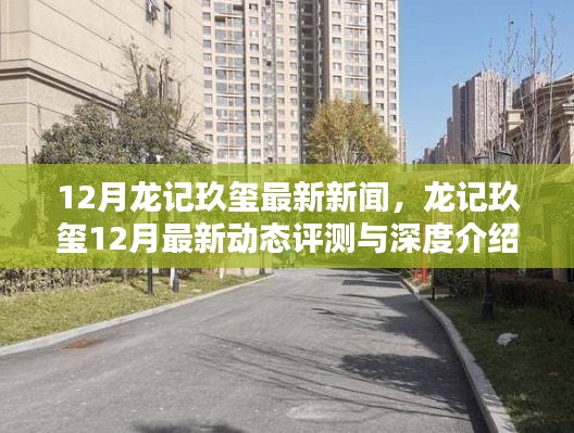 12月龙记玖玺最新资讯，动态评测与深度介绍