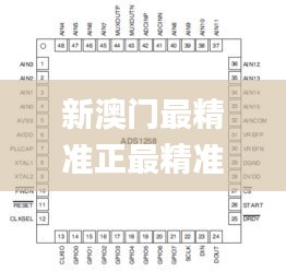 新澳门最精准正最精准正版资料,数据说明解析_粉丝版10.934