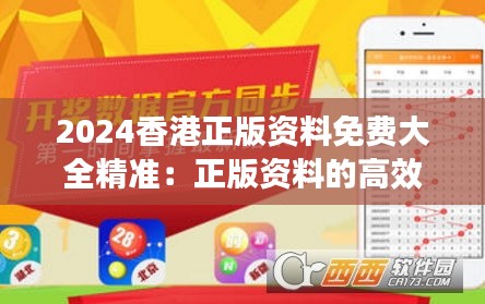 2024香港正版资料免费大全精准：正版资料的高效整合