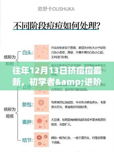 往年12月13日挤痘痘全攻略，初学者与进阶用户的最新步骤指南与技巧