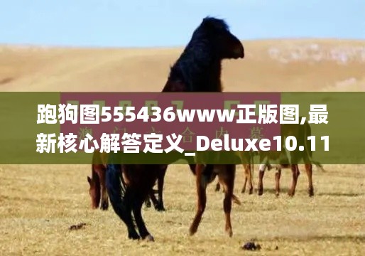 跑狗图555436www正版图,最新核心解答定义_Deluxe10.113
