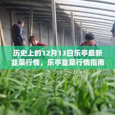 历史上的12月13日乐亭韭菜行情深度解析与交易指南