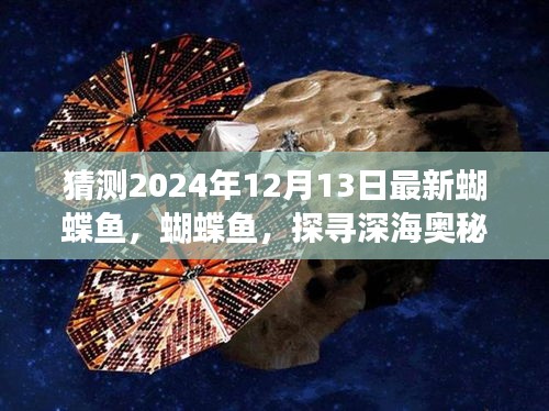 探寻深海奥秘，蝴蝶鱼的新洞察——2024年蝴蝶鱼最新资讯揭秘！