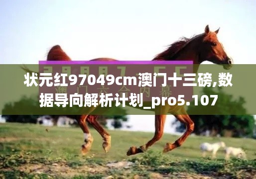 状元红97049cm澳门十三磅,数据导向解析计划_pro5.107