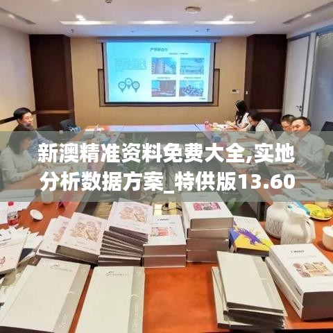 新澳精准资料免费大全,实地分析数据方案_特供版13.603
