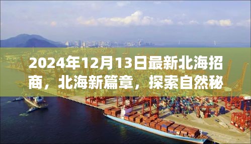 达官显贵 第4页