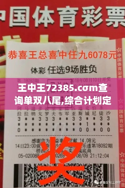 王中王72385.cσm查询单双八尾,综合计划定义评估_uShop4.414