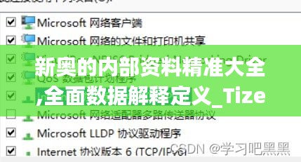 新奥的内部资料精准大全,全面数据解释定义_Tizen1.452