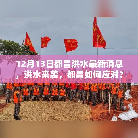 关于都昌洪水应对的最新消息，洪水来袭，如何应对？最新进展报道（12月13日）
