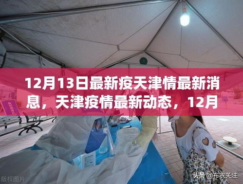天津疫情最新动态深度观察，12月13日最新消息与影响回顾