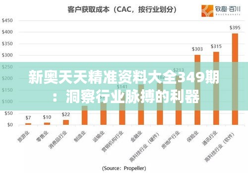 新奥天天精准资料大全349期：洞察行业脉搏的利器