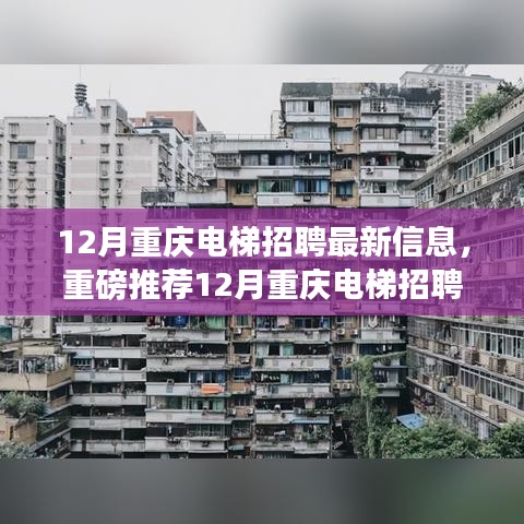 降尊纡贵 第5页