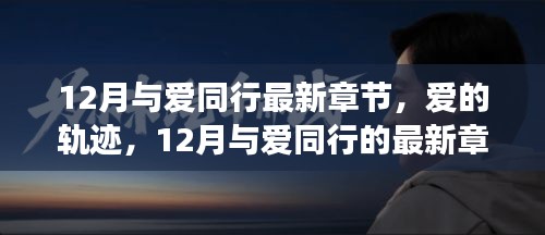 鸟穷则啄 第5页