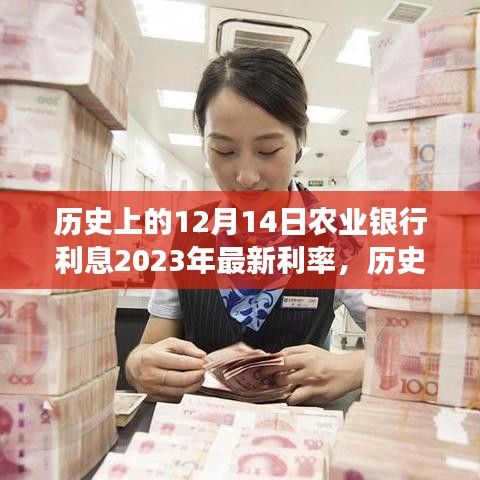 夫妻本是同 第5页