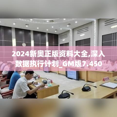 2024新奥正版资料大全,深入数据执行计划_GM版7.450