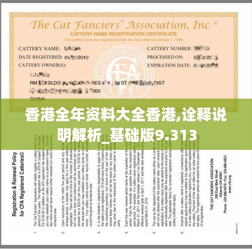 香港全年资料大全香港,诠释说明解析_基础版9.313