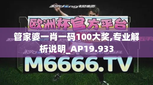 管家婆一肖一码100大奖,专业解析说明_AP19.933