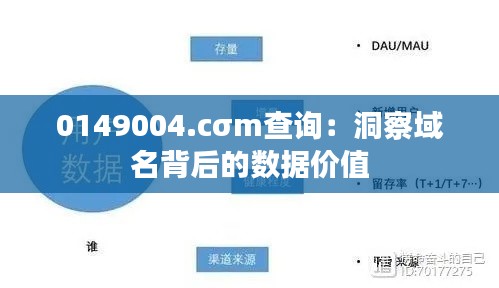 0149004.cσm查询：洞察域名背后的数据价值