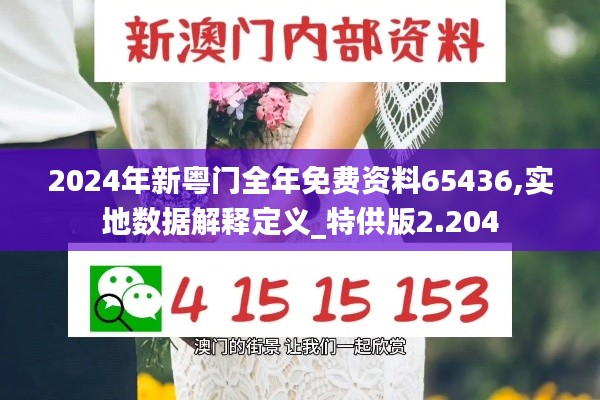 2024年新粤门全年免费资料65436,实地数据解释定义_特供版2.204
