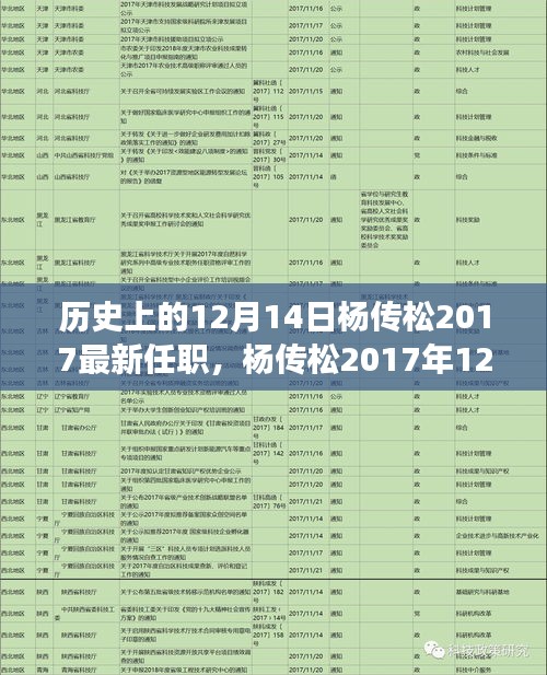 流光飞舞 第4页