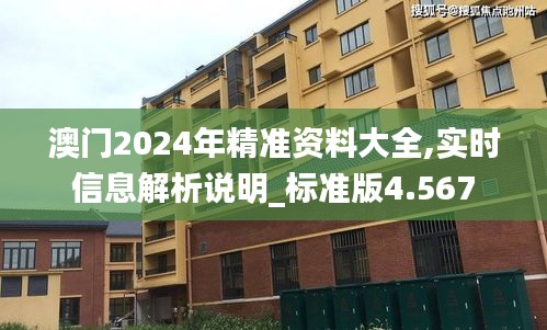澳门2024年精准资料大全,实时信息解析说明_标准版4.567