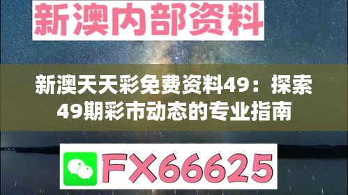 新澳天天彩免费资料49：探索49期彩市动态的专业指南
