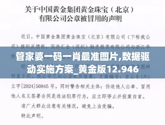 管家婆一码一肖最准图片,数据驱动实施方案_黄金版12.946