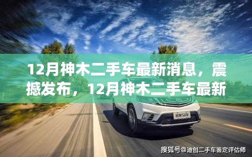 灰飞湮灭 第4页