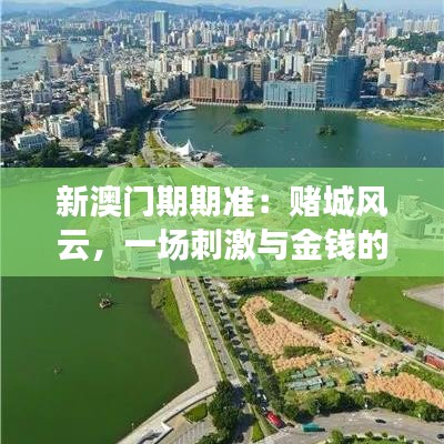 夫贵妻荣 第5页