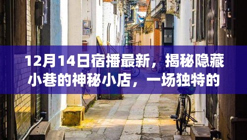 夫荣妻贵 第4页