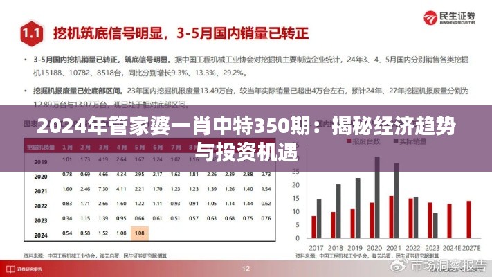 2024年管家婆一肖中特350期：揭秘经济趋势与投资机遇