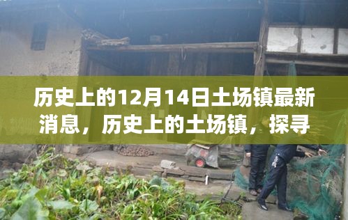 飞蝗芜湖 第4页
