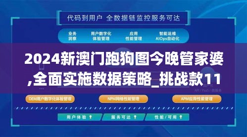 2024新澳门跑狗图今晚管家婆,全面实施数据策略_挑战款110.741