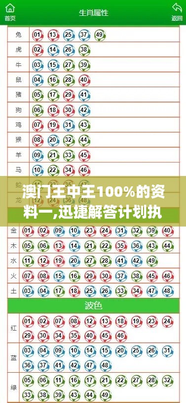 澳门王中王100%的资料一,迅捷解答计划执行_精英版8.177