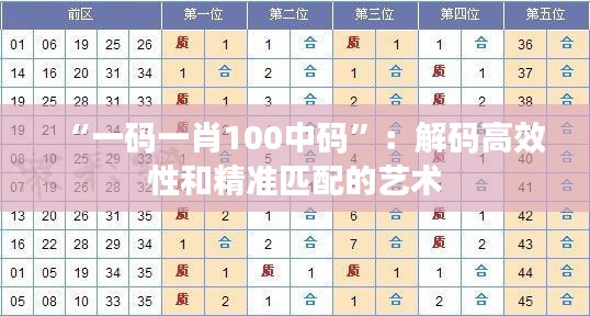 “一码一肖100中码”：解码高效性和精准匹配的艺术
