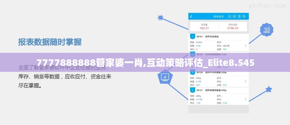 7777888888管家婆一肖,互动策略评估_Elite8.545