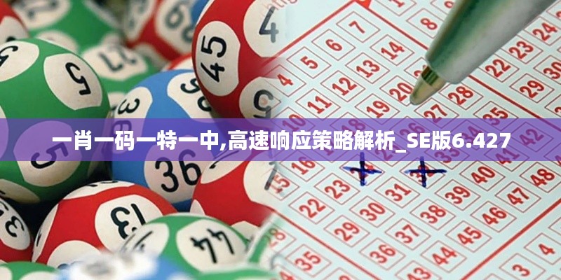 一肖一码一特一中,高速响应策略解析_SE版6.427
