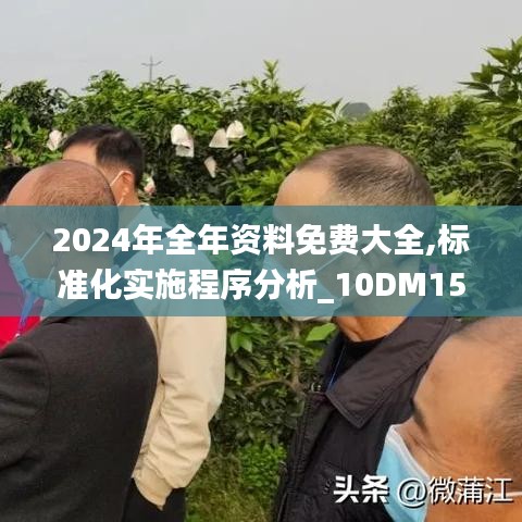 2024年全年资料免费大全,标准化实施程序分析_10DM15.666