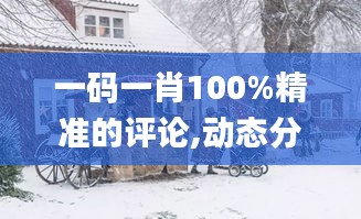 一码一肖100%精准的评论,动态分析解释定义_特别版5.488