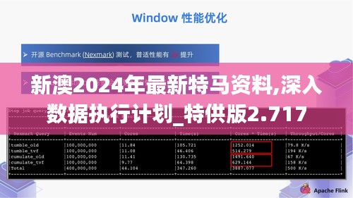 新澳2024年最新特马资料,深入数据执行计划_特供版2.717