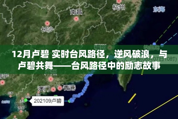 逆风破浪，与卢碧共舞，台风卢碧的路径与励志故事