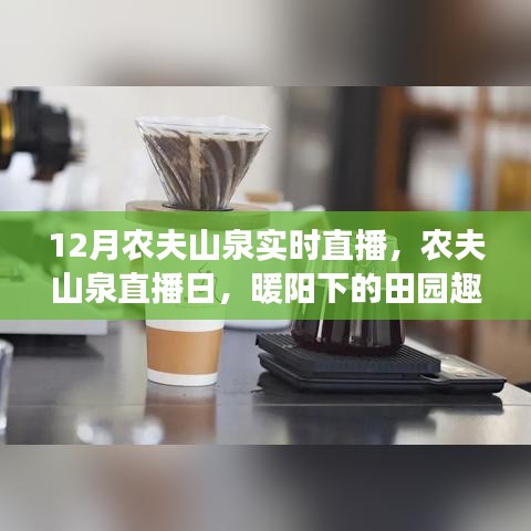 农夫山泉直播日，田园暖阳下的真挚友情与趣事分享