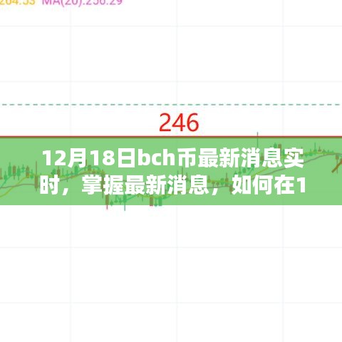 12月18日BCH币最新消息实时更新,全方位指南助力获取实时动态,适合初学者与进阶用户