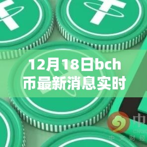 12月18日BCH币最新消息实时更新,全方位指南助力获取实时动态,适合初学者与进阶用户