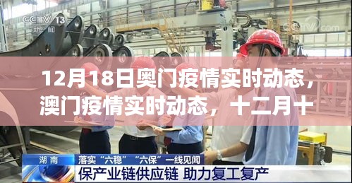 澳门疫情实时动态深度观察，十二月十八日的影响与观察