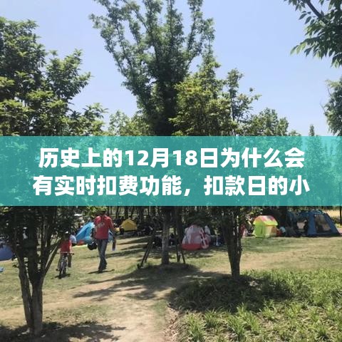 实时扣费背后的温情故事，探寻历史上的扣款日奇迹与温情故事